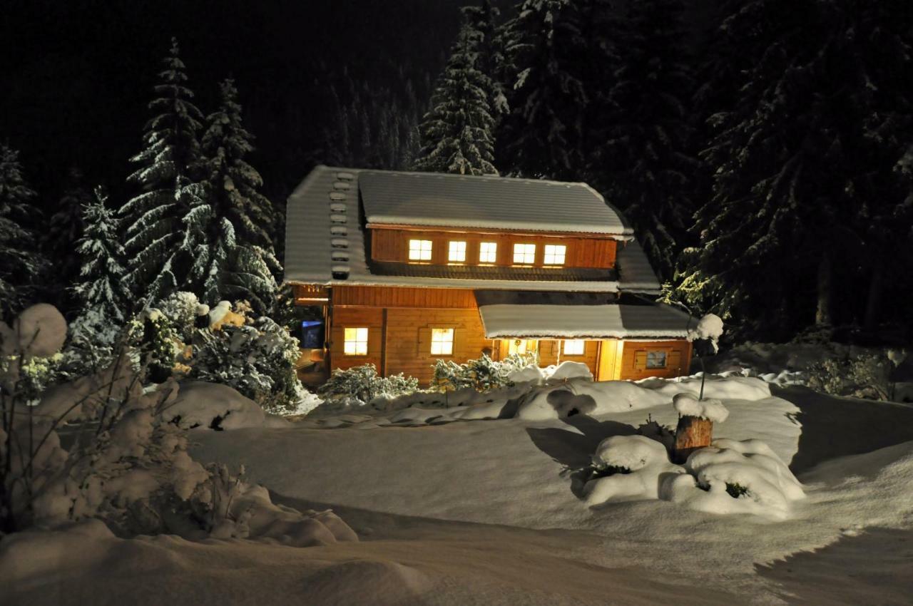 Chalet Styria Donnersbachwald Bagian luar foto