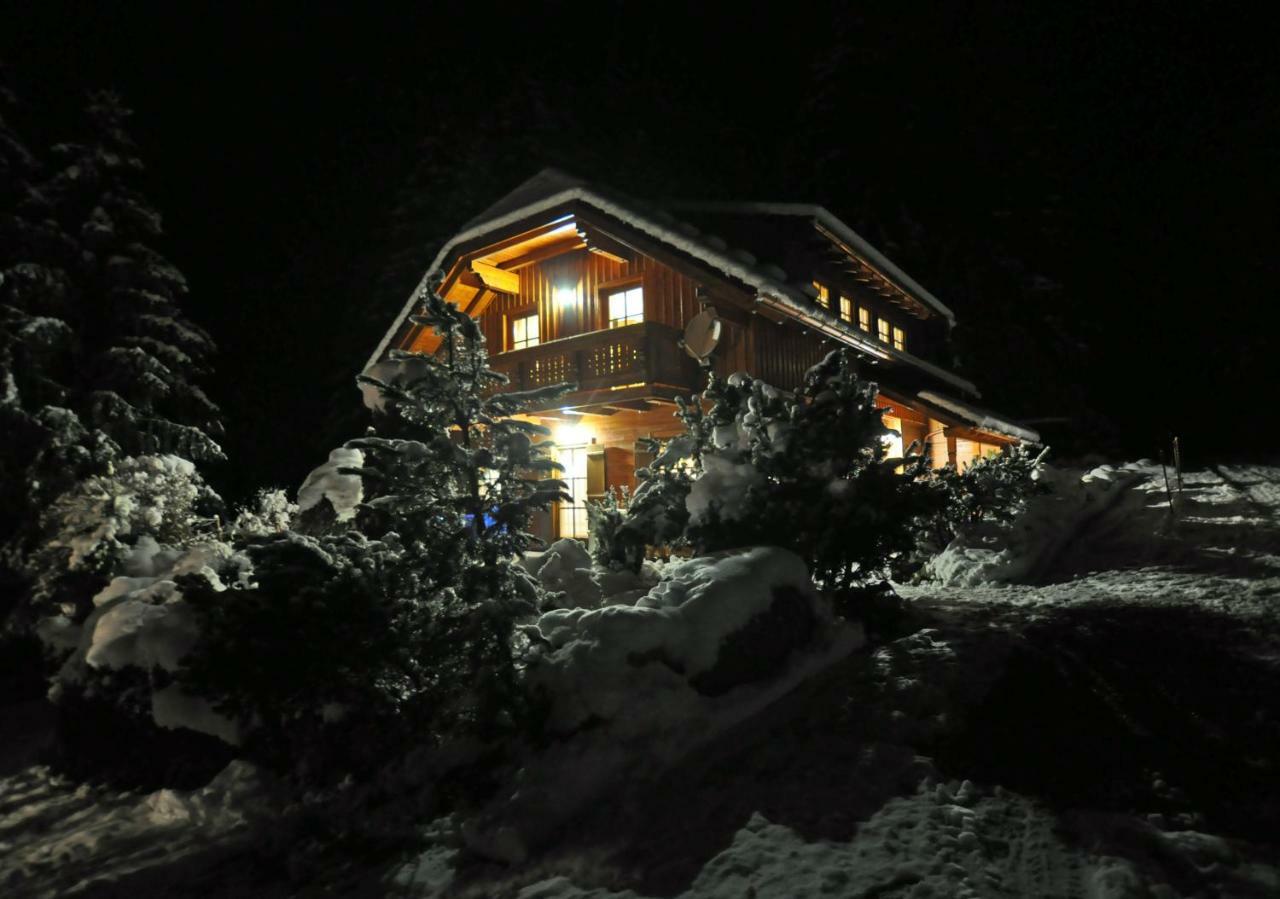 Chalet Styria Donnersbachwald Bagian luar foto